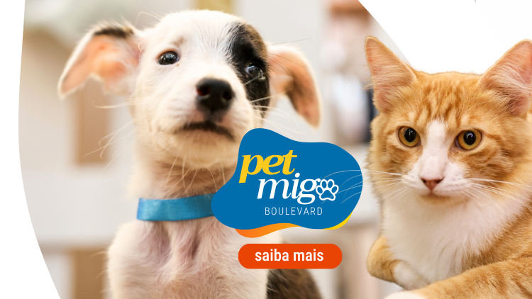 BLV_BANNERMOBILE_PETMIGO_1_.png