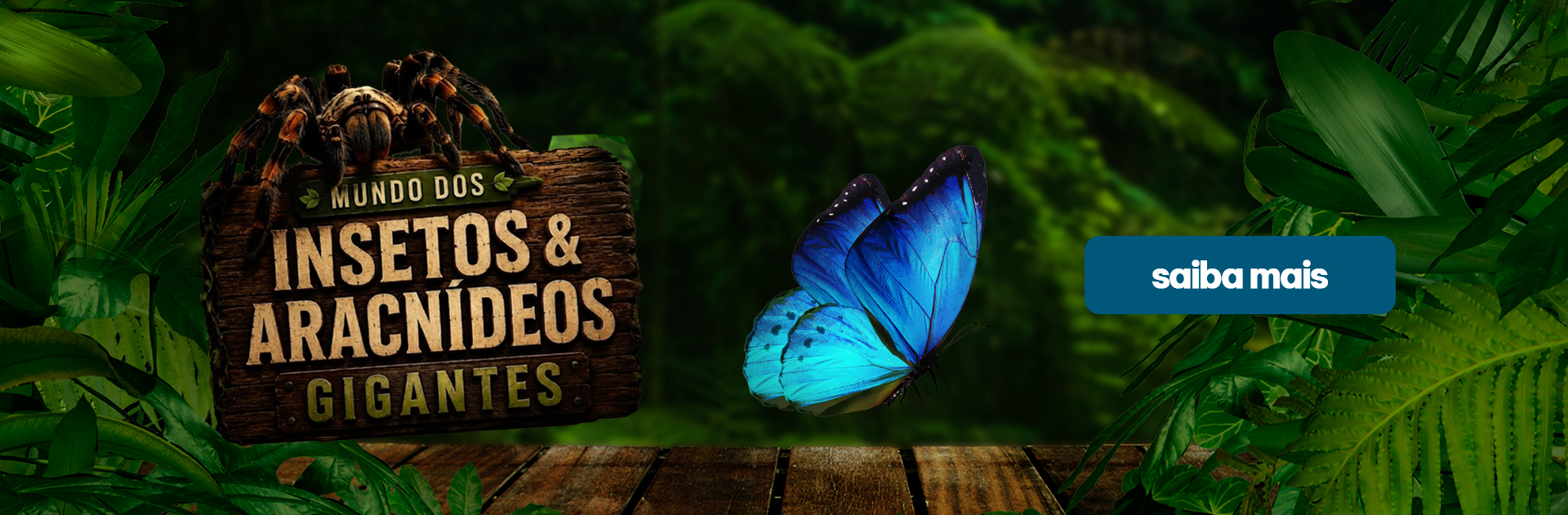 BANNER_HOME _1_.jpg
