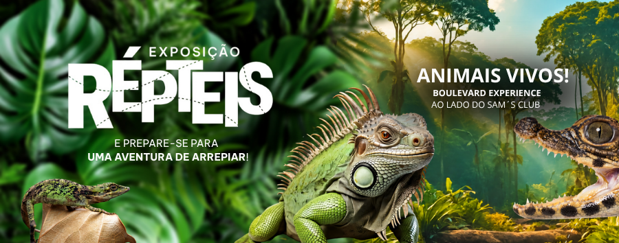 Evento dia das mães